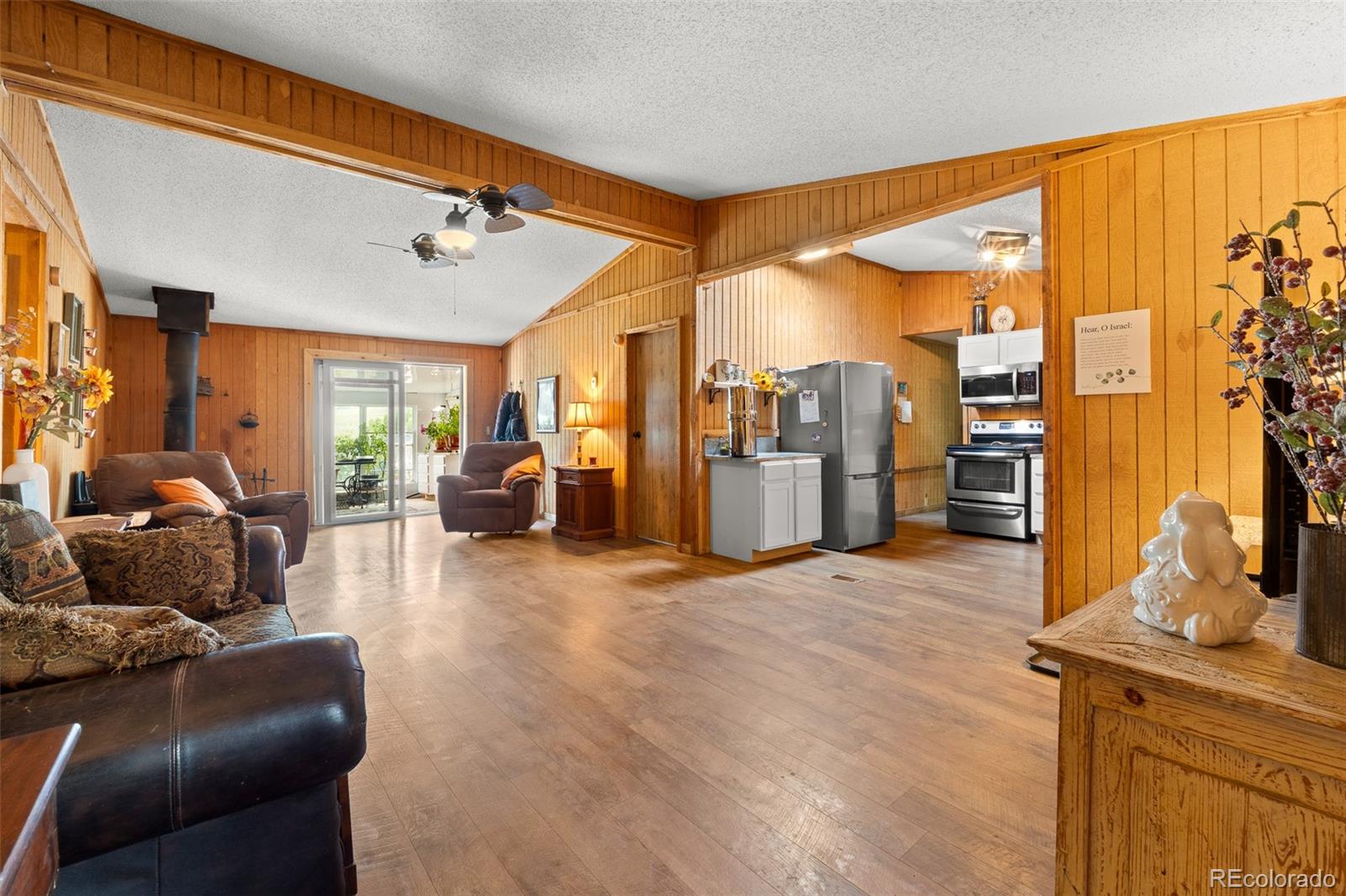MLS Image #5 for 242  poplar lane,guffey, Colorado