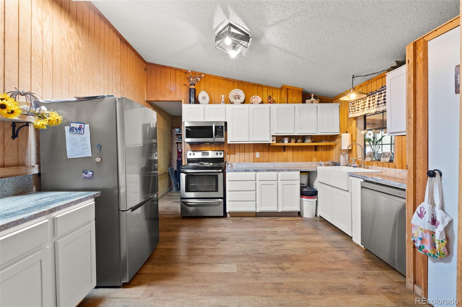 MLS Image #6 for 242  poplar lane,guffey, Colorado