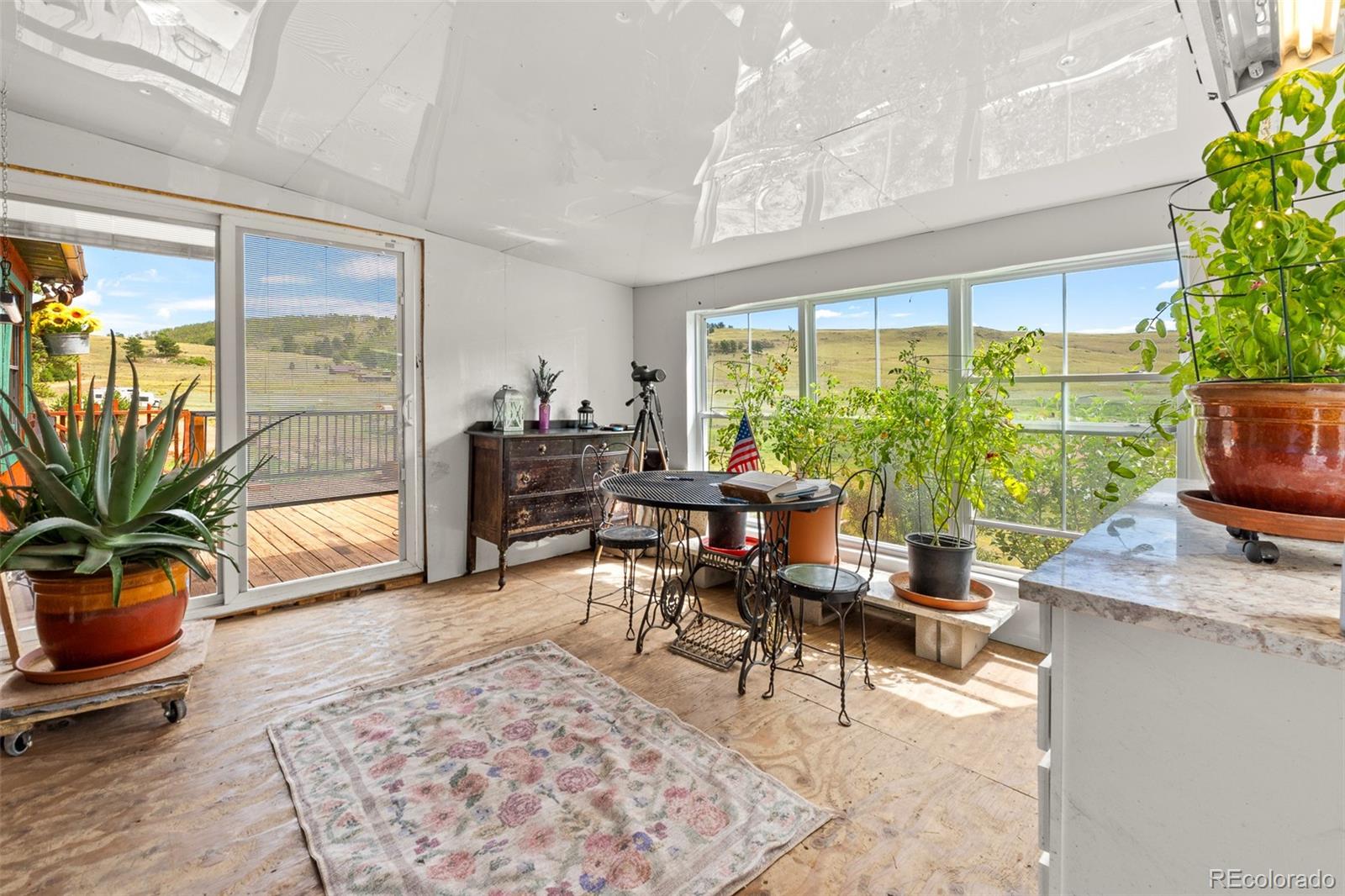 MLS Image #7 for 242  poplar lane,guffey, Colorado