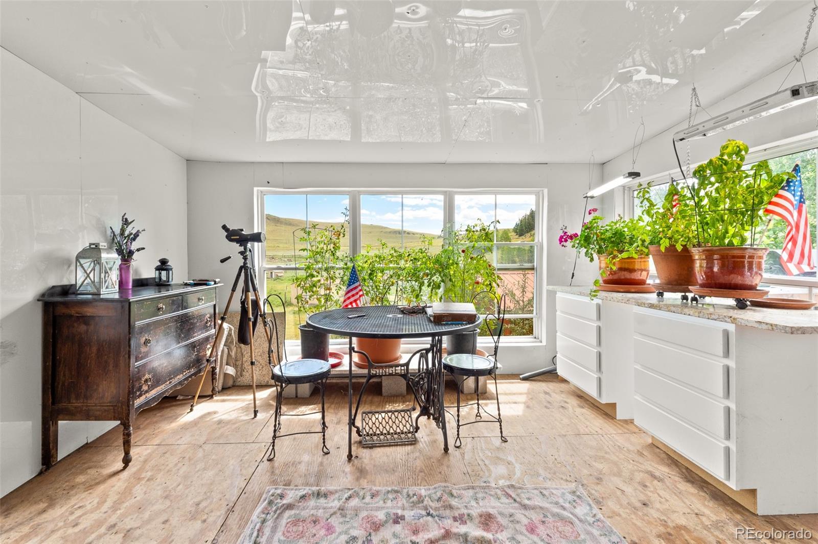 MLS Image #8 for 242  poplar lane,guffey, Colorado