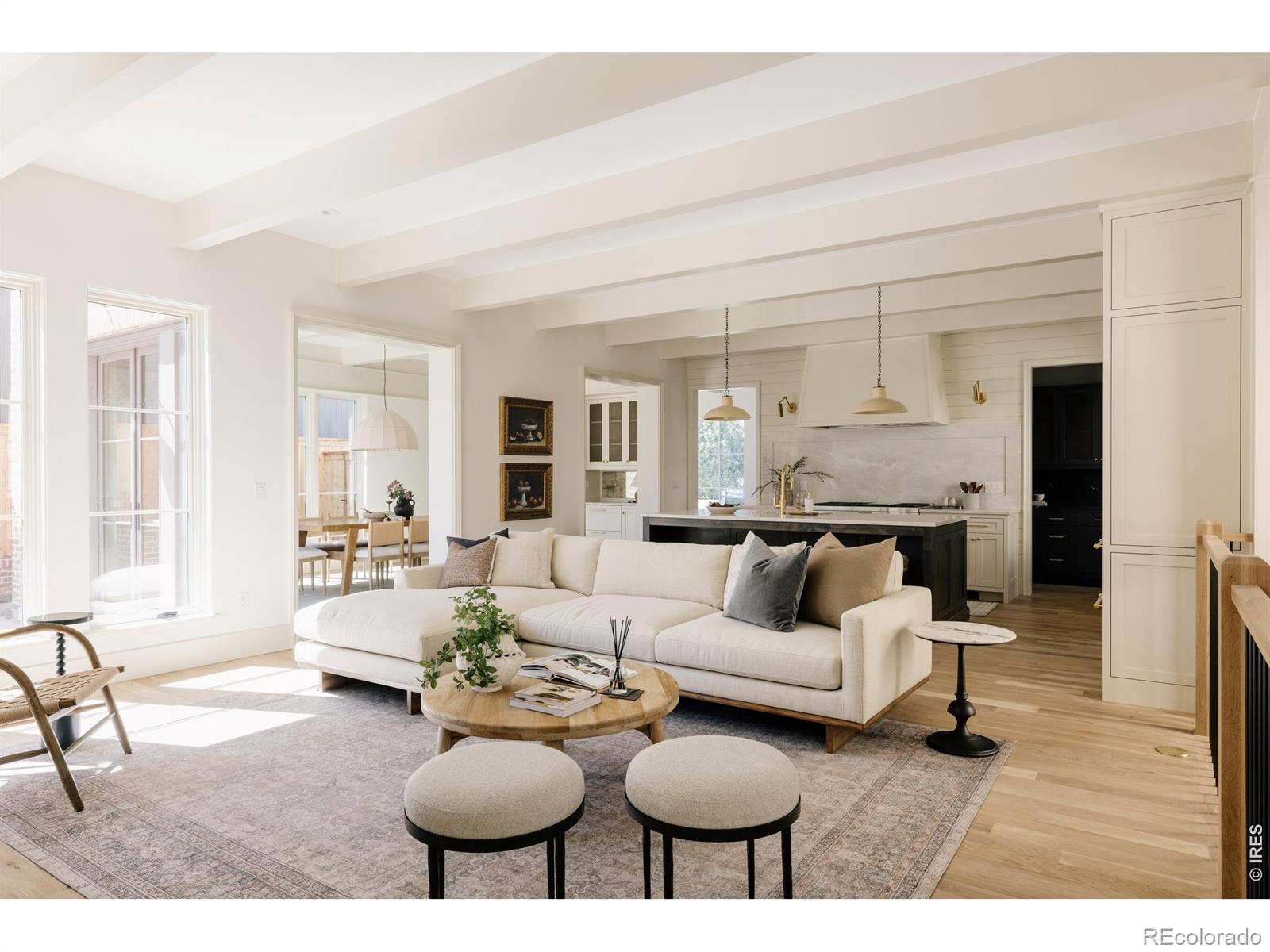 MLS Image #10 for 858 s saint paul street,denver, Colorado