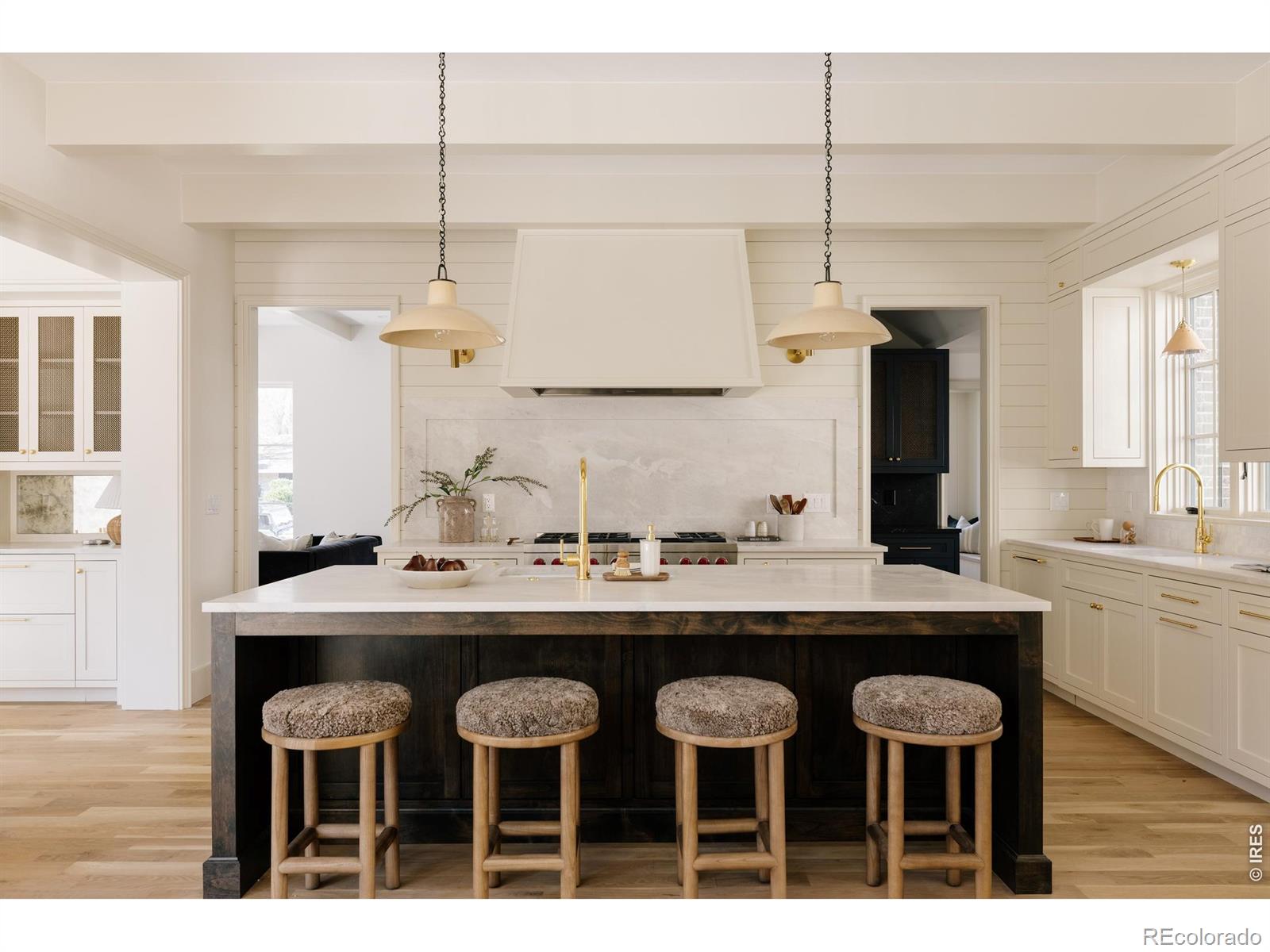 MLS Image #6 for 858 s saint paul street,denver, Colorado