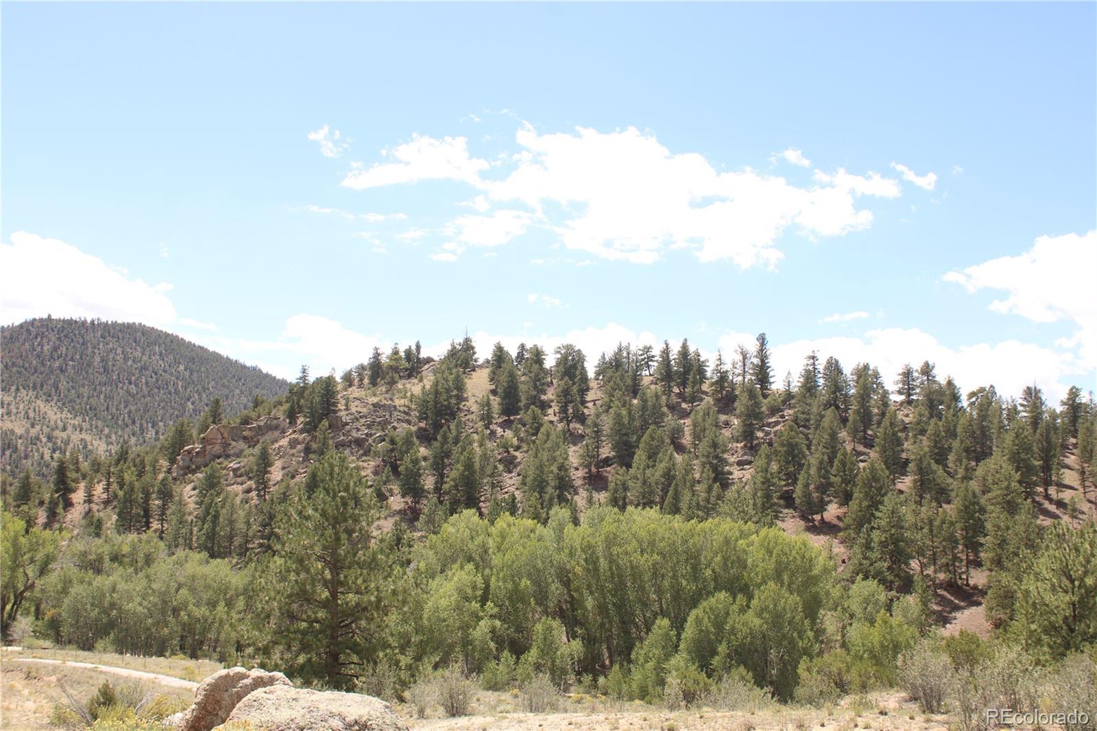 MLS Image #10 for 29355  cr-305 ,buena vista, Colorado