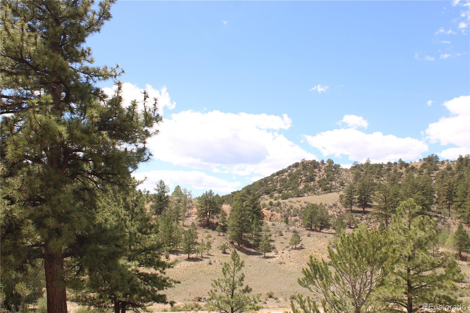 MLS Image #11 for 29355  cr-305 ,buena vista, Colorado