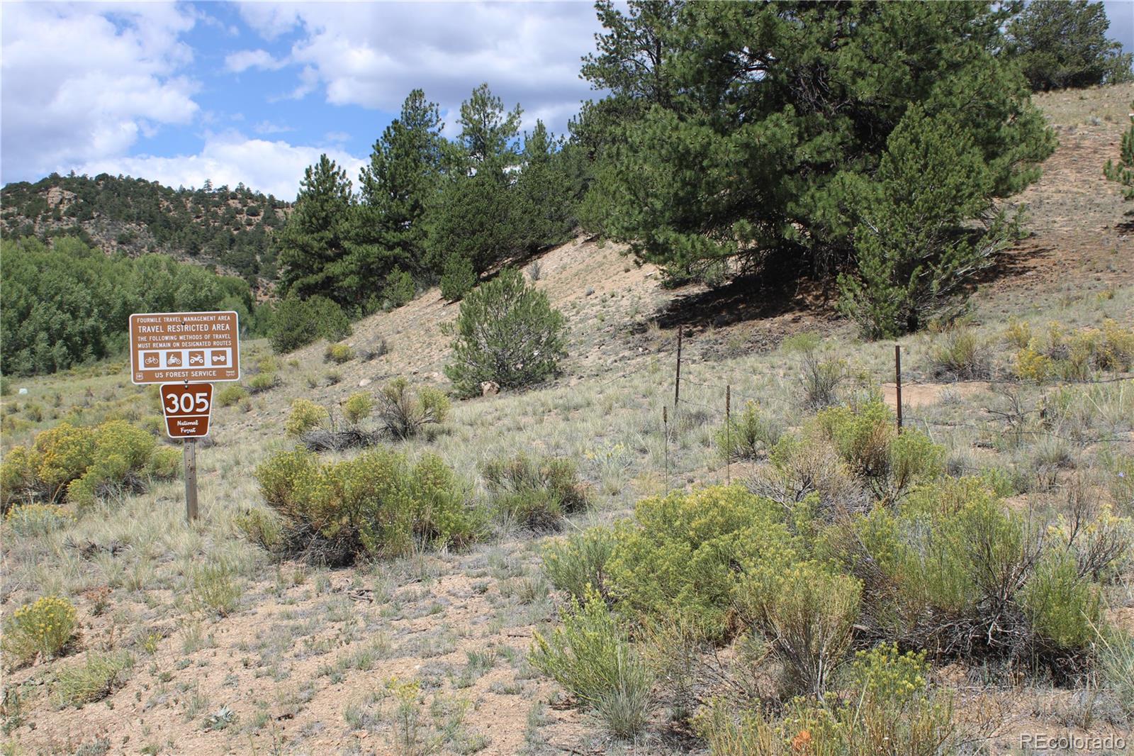 MLS Image #2 for 29355  cr-305 ,buena vista, Colorado