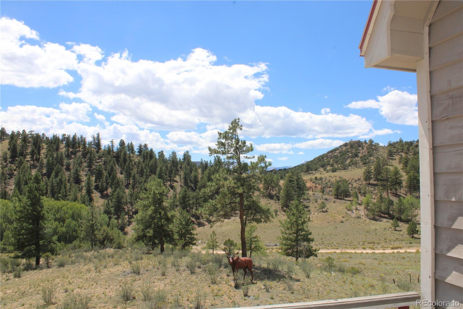 MLS Image #23 for 29355  cr-305 ,buena vista, Colorado