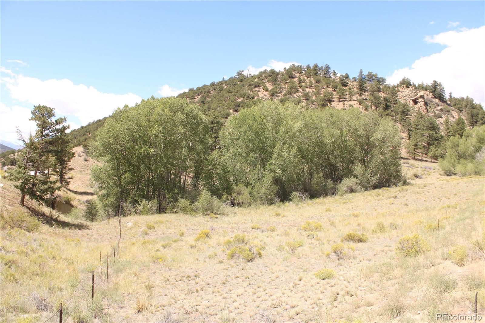 MLS Image #3 for 29355  cr-305 ,buena vista, Colorado