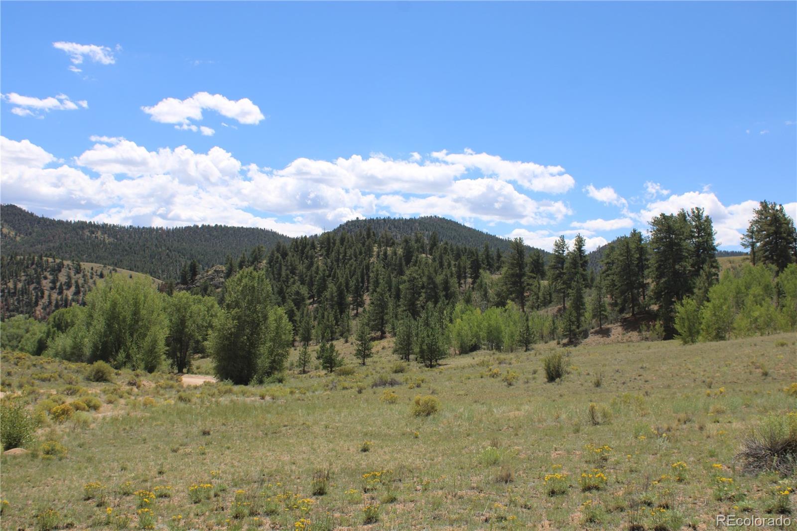 MLS Image #8 for 29355  cr-305 ,buena vista, Colorado