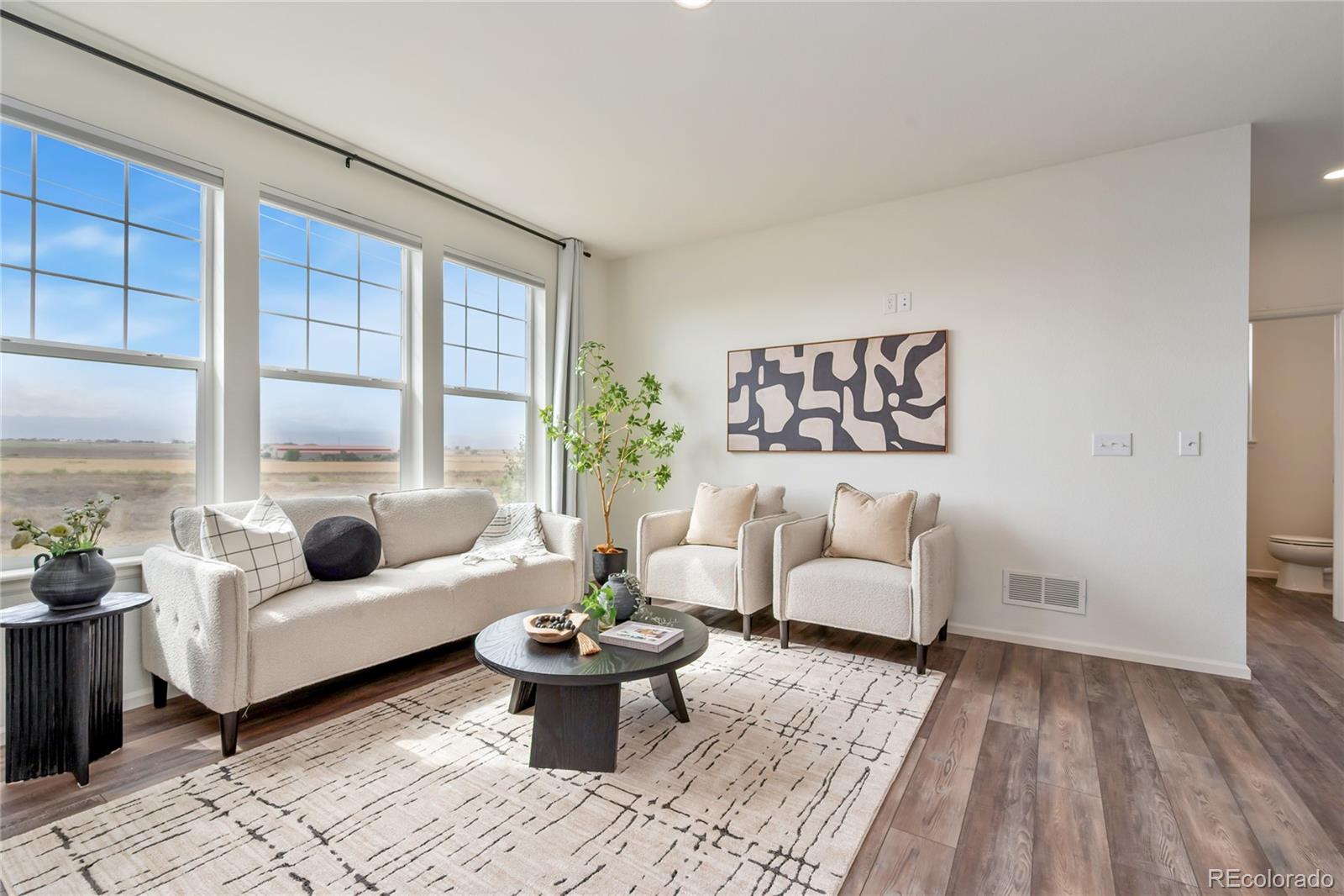 MLS Image #6 for 3373  bluestem street,dacono, Colorado