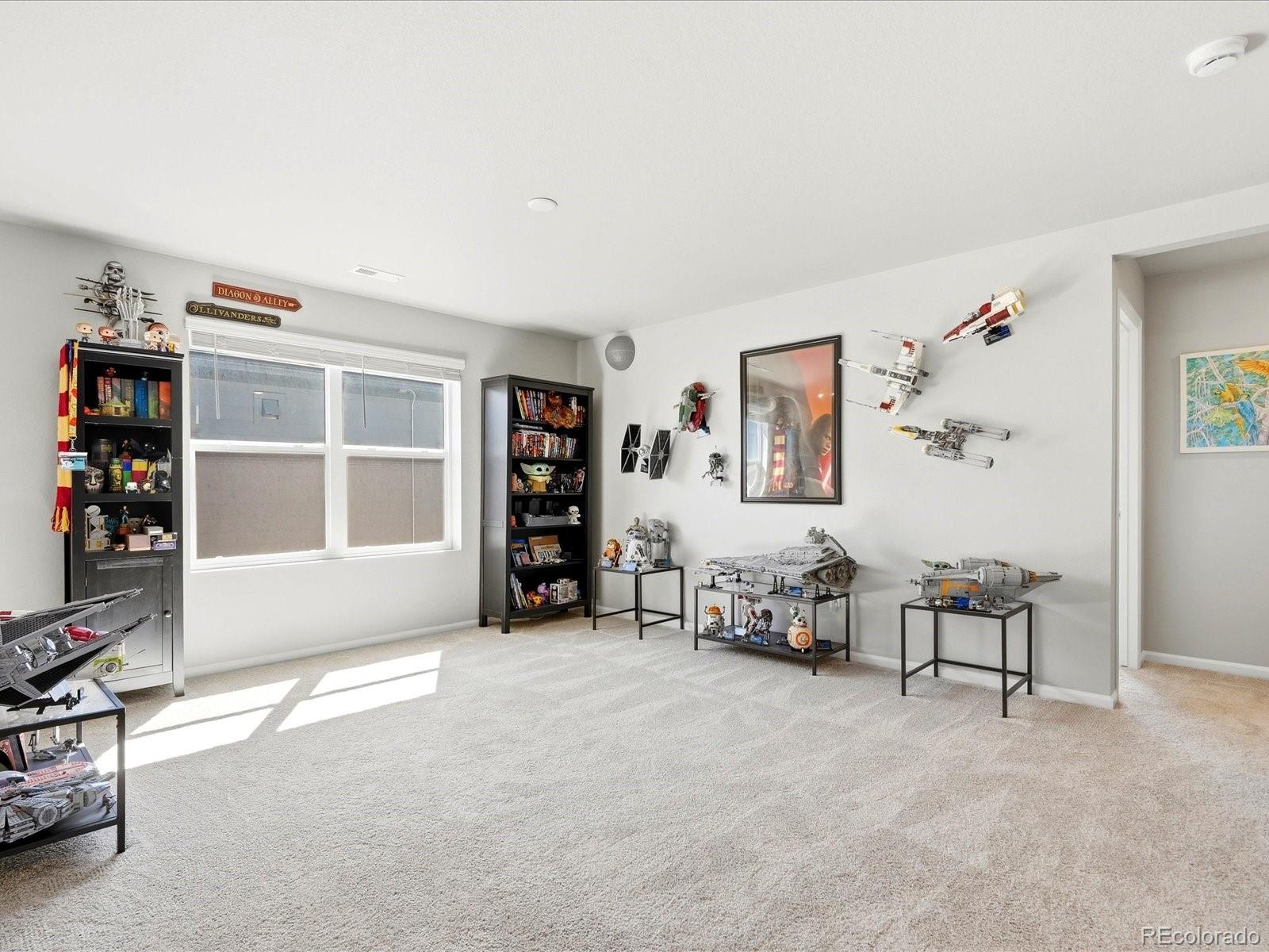 MLS Image #22 for 13499  broad wing drive,parker, Colorado
