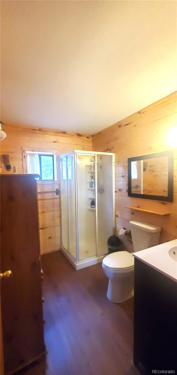 MLS Image #13 for 2649  petito drive,fort garland, Colorado