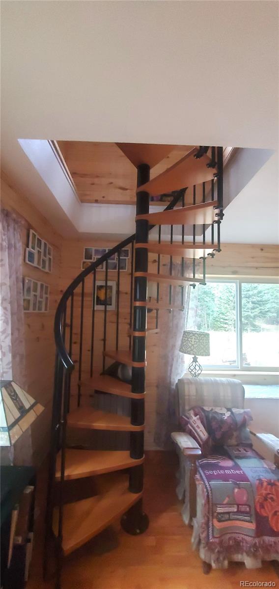 MLS Image #16 for 2649  petito drive,fort garland, Colorado