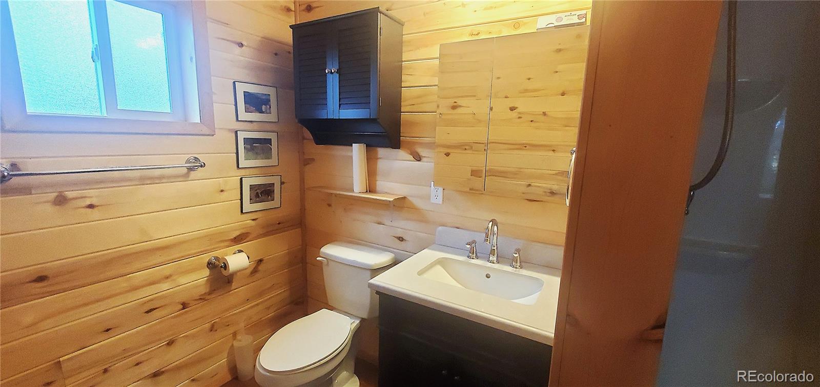 MLS Image #22 for 2649  petito drive,fort garland, Colorado