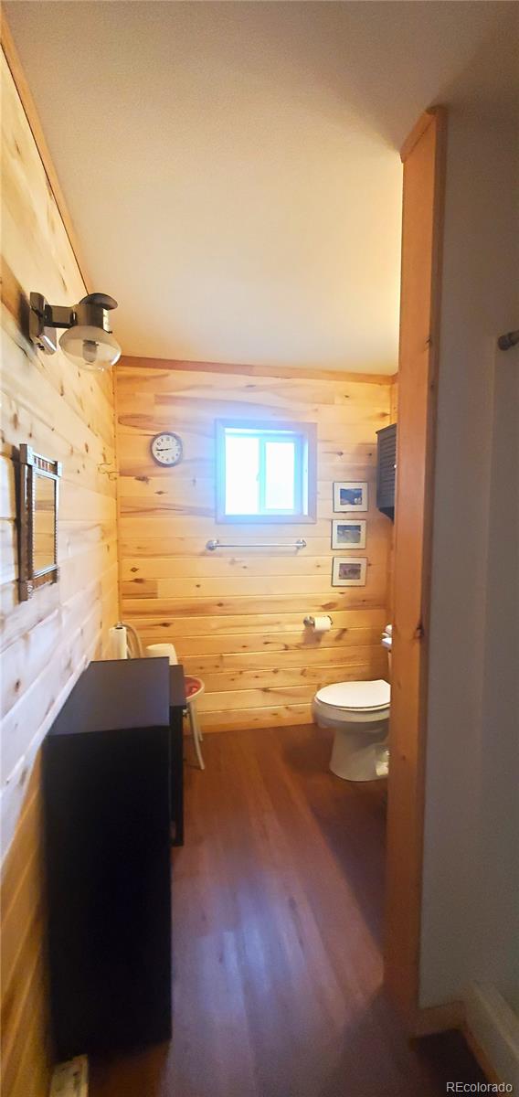 MLS Image #24 for 2649  petito drive,fort garland, Colorado