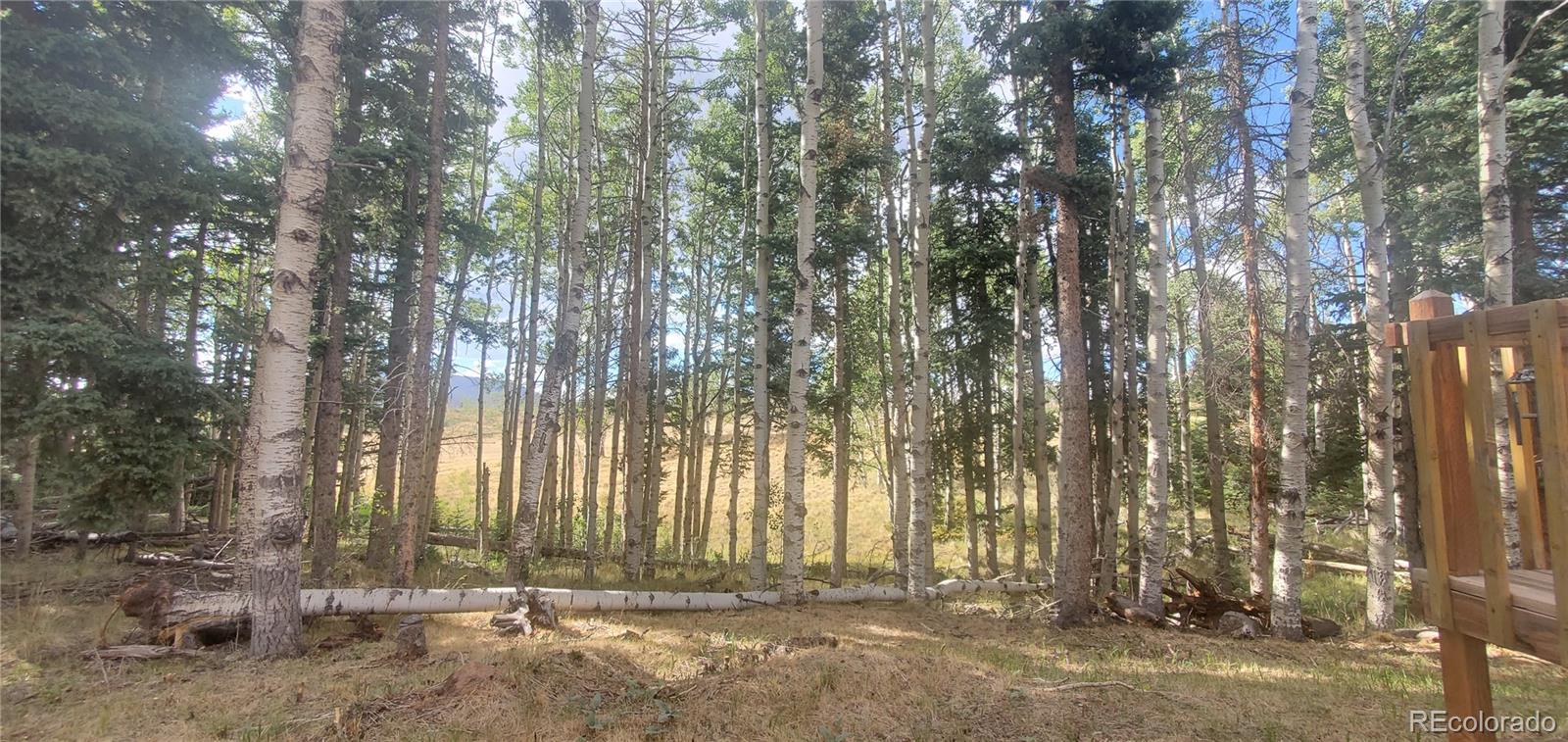 MLS Image #25 for 2649  petito drive,fort garland, Colorado