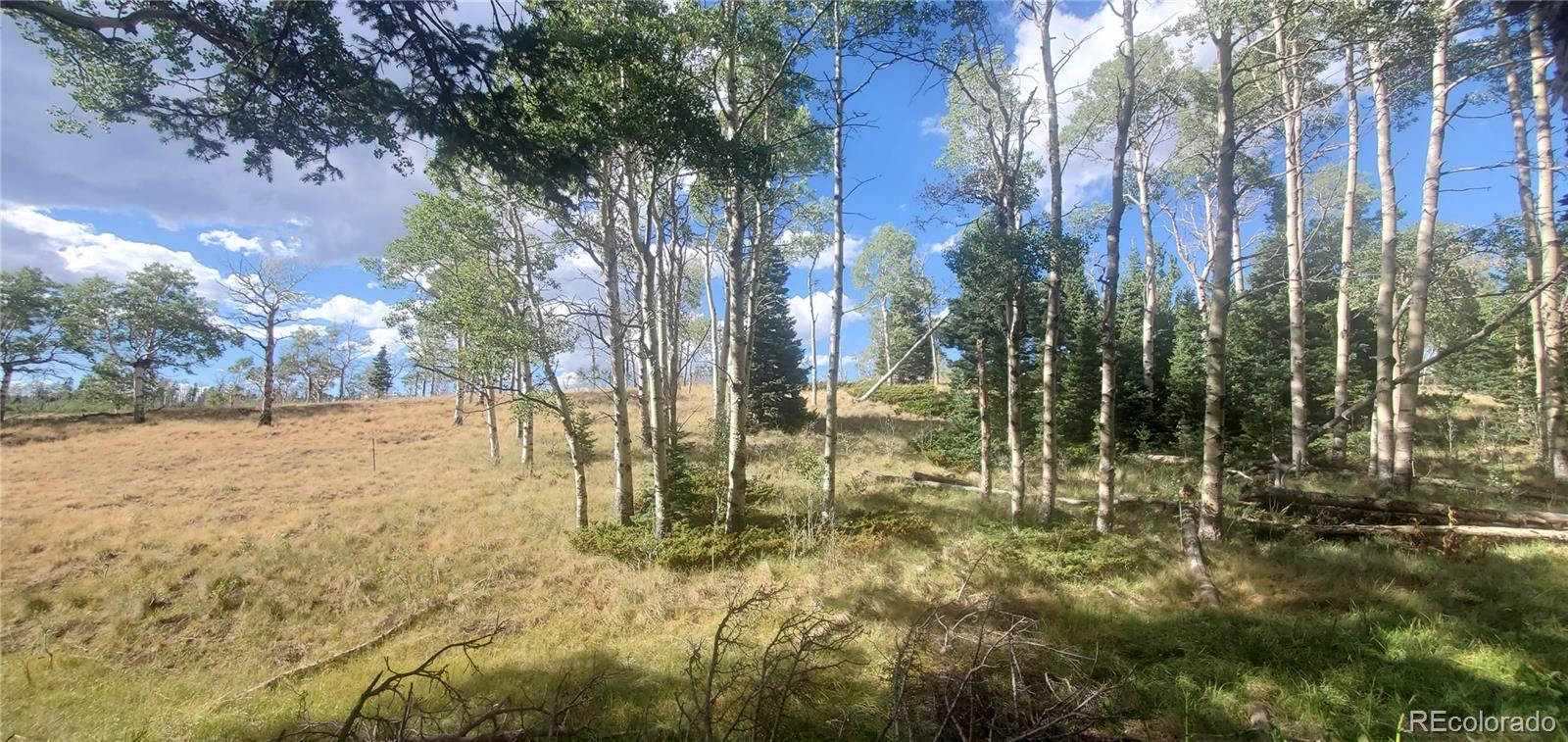 MLS Image #26 for 2649  petito drive,fort garland, Colorado