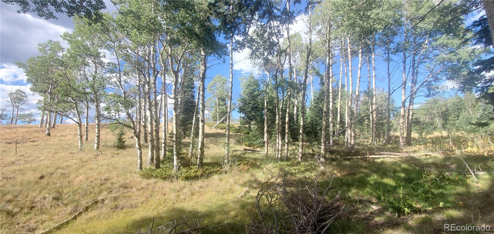 MLS Image #27 for 2649  petito drive,fort garland, Colorado