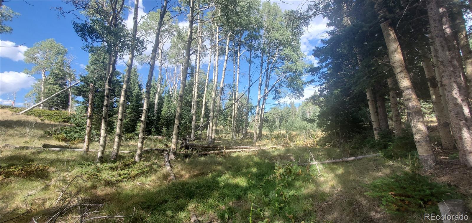 MLS Image #28 for 2649  petito drive,fort garland, Colorado