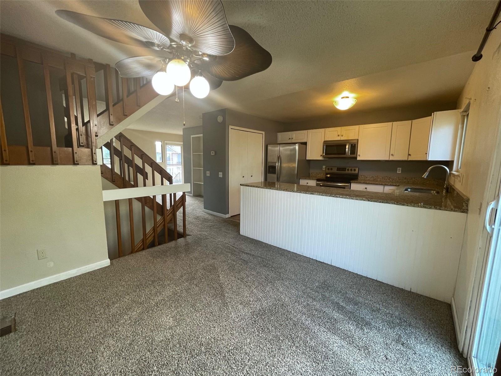 MLS Image #10 for 3919  smoke tree drive,colorado springs, Colorado