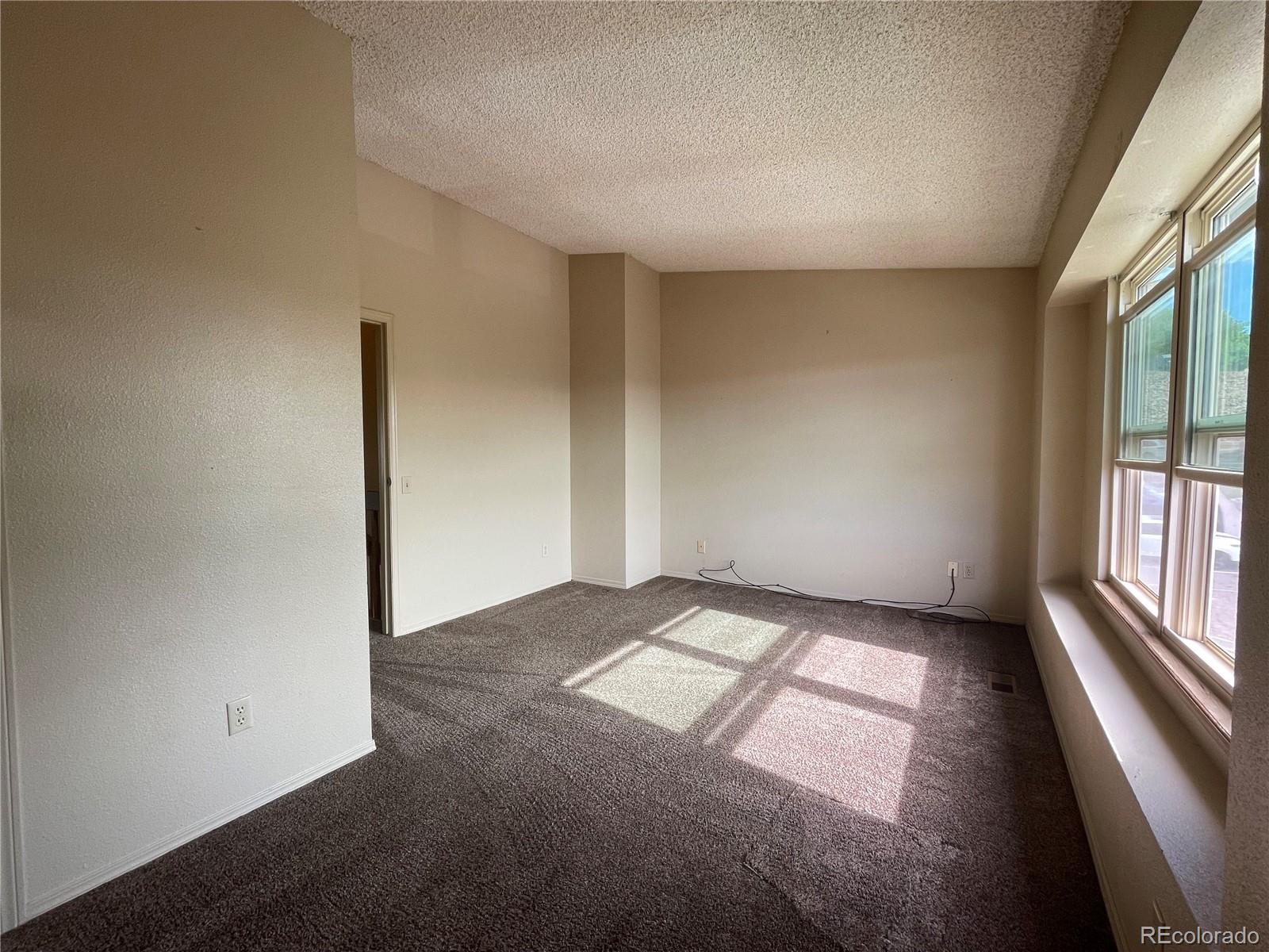 MLS Image #13 for 3919  smoke tree drive,colorado springs, Colorado