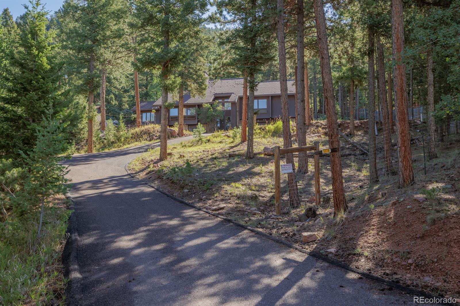 MLS Image #0 for 1170  pine ridge road,woodland park, Colorado