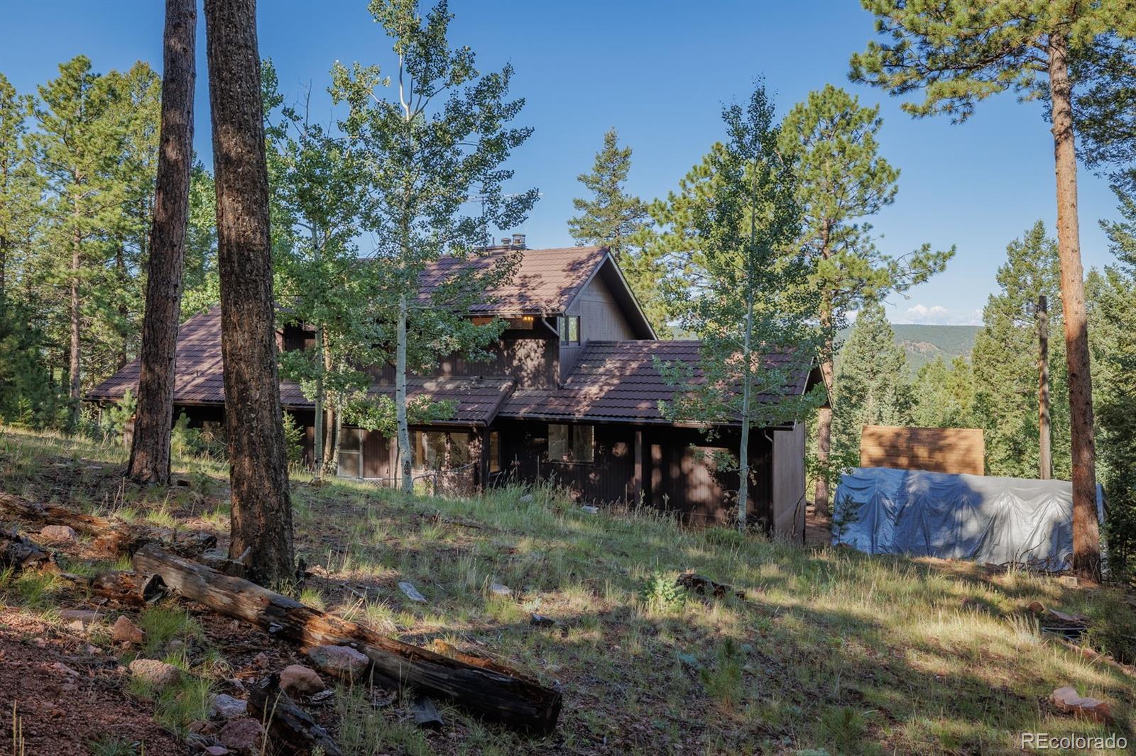 MLS Image #42 for 1170  pine ridge road,woodland park, Colorado