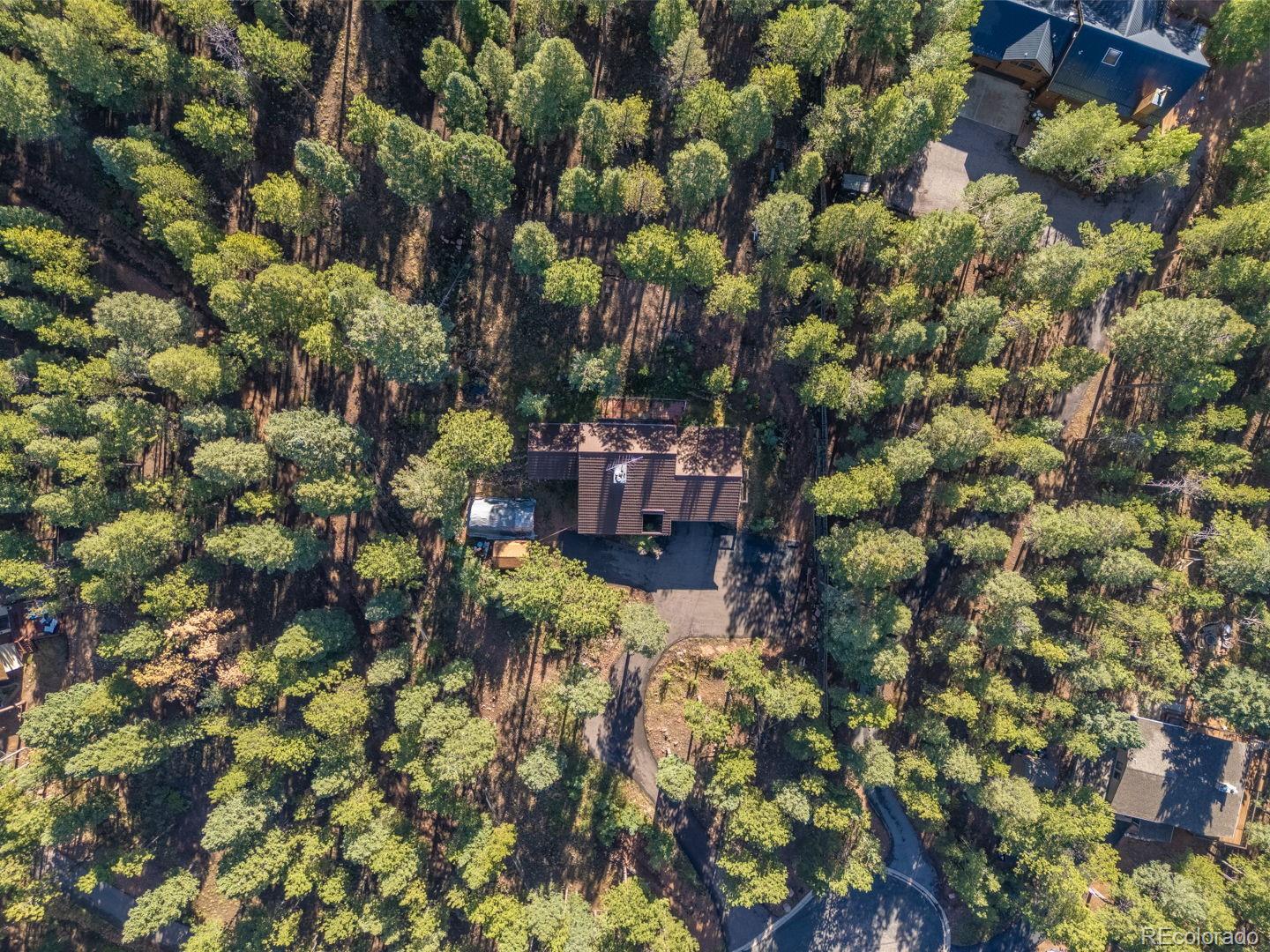 MLS Image #44 for 1170  pine ridge road,woodland park, Colorado