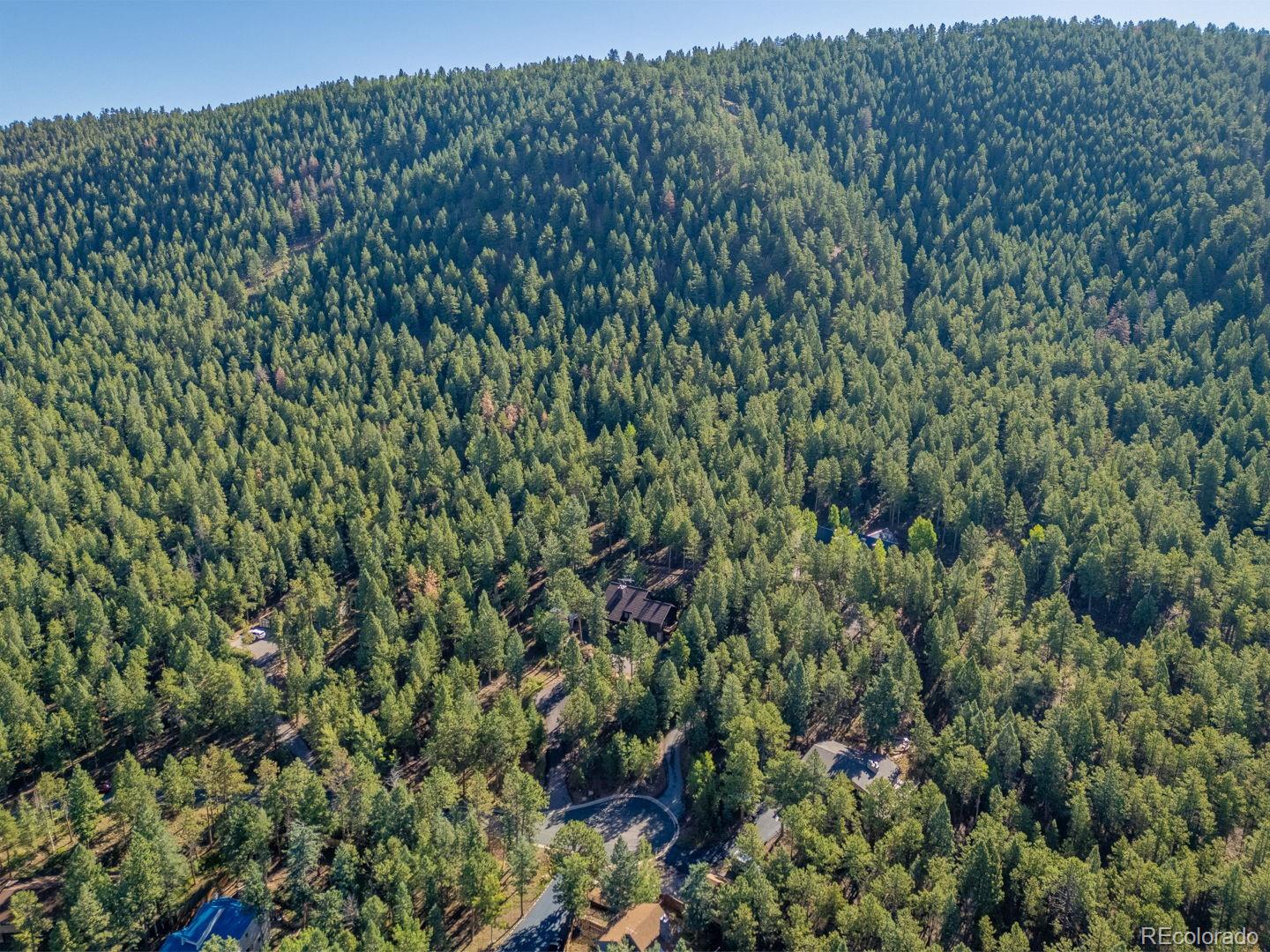 MLS Image #46 for 1170  pine ridge road,woodland park, Colorado