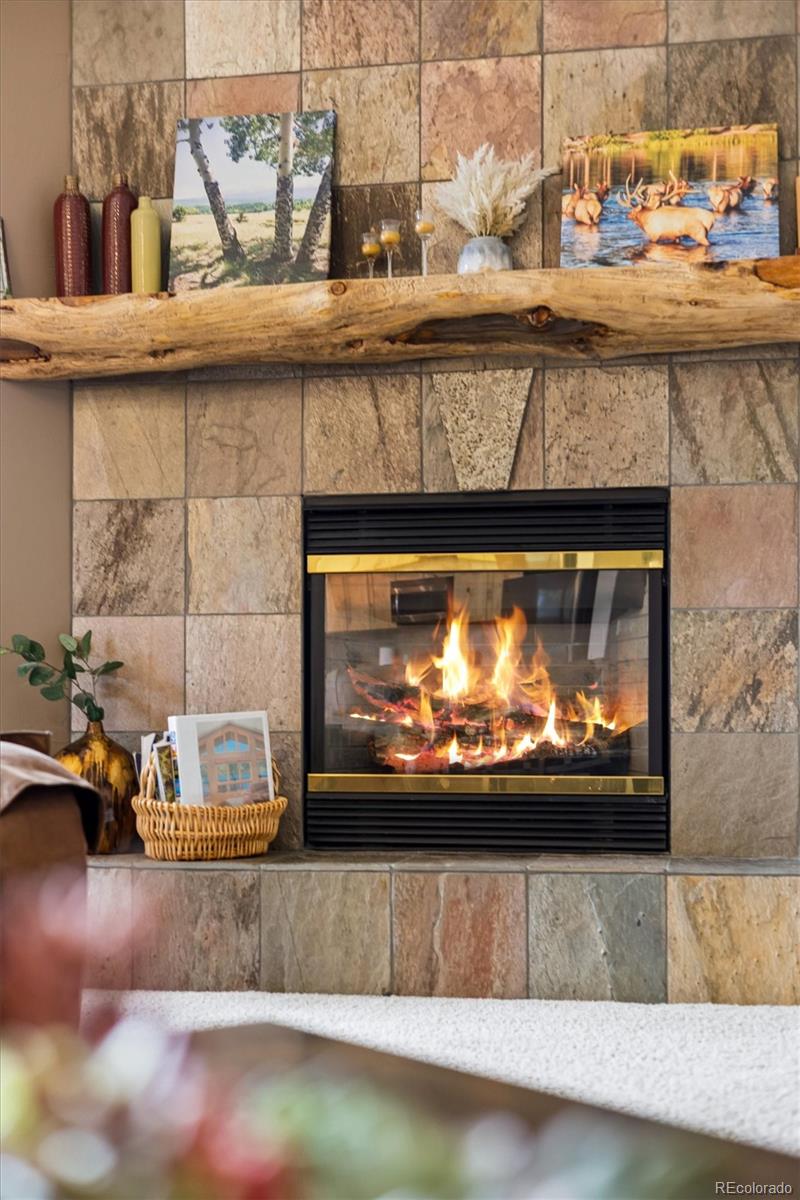 MLS Image #10 for 563  county road 469 ,grand lake, Colorado