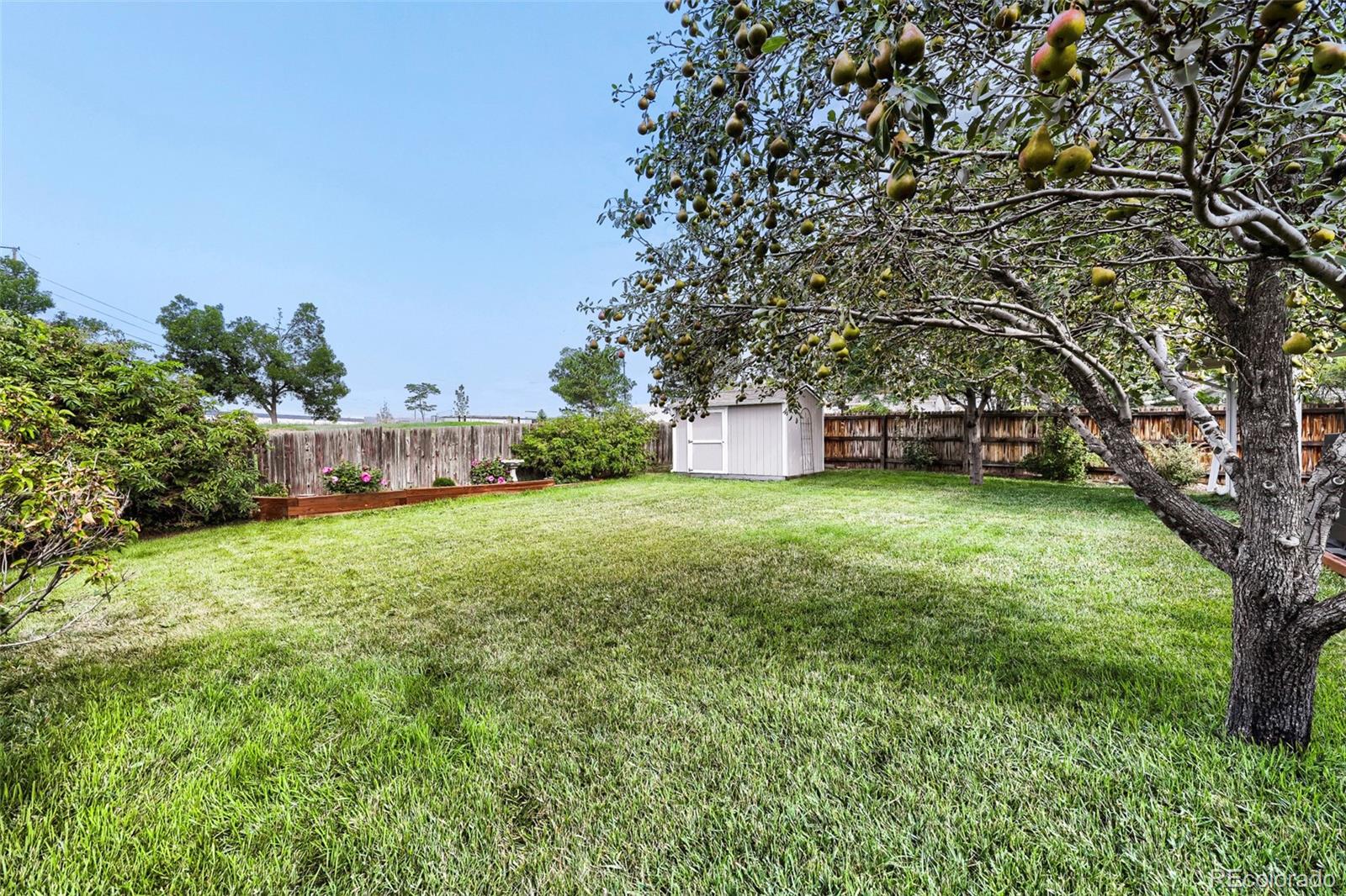 MLS Image #26 for 11221  otis street,broomfield, Colorado