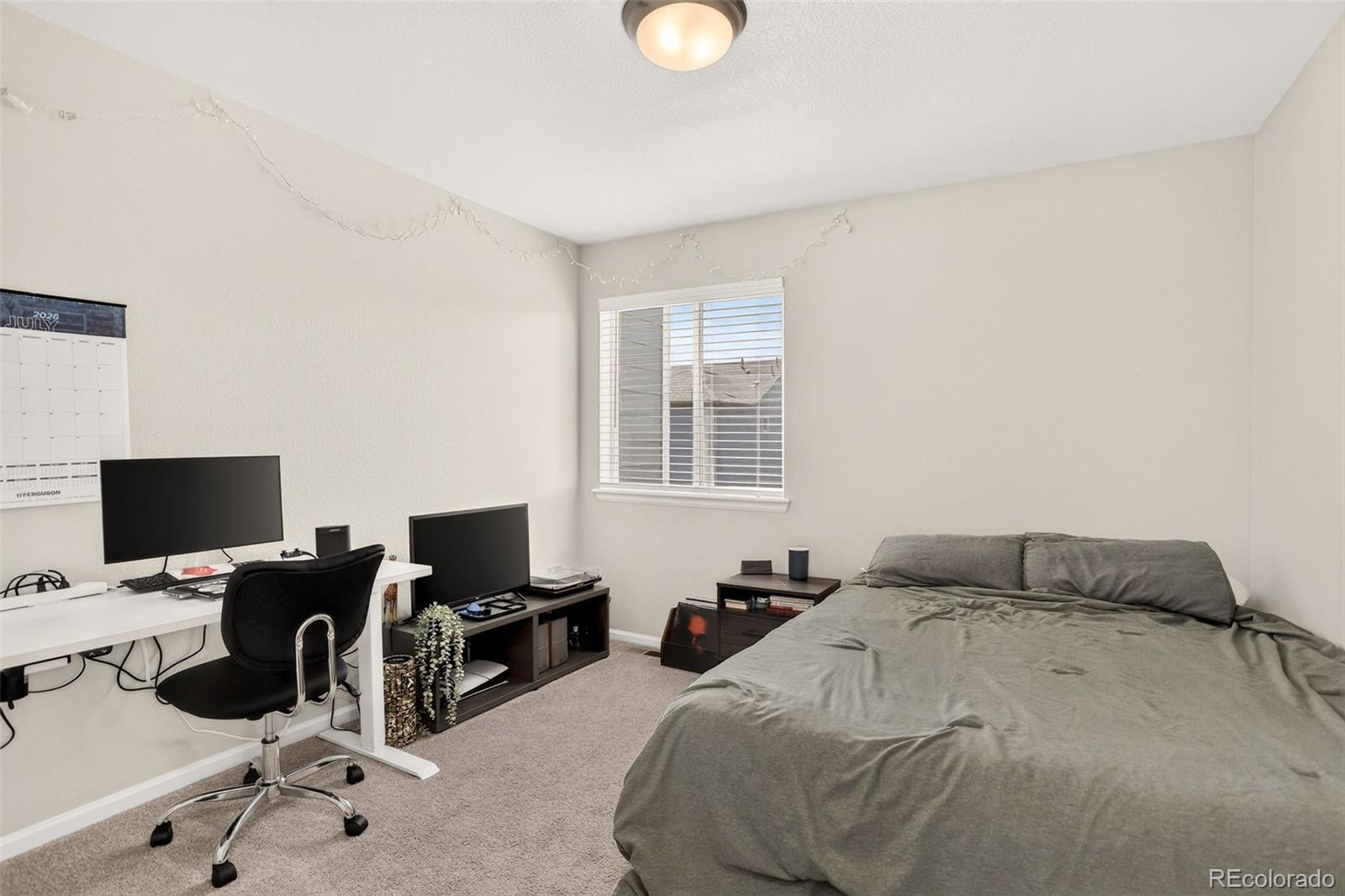 MLS Image #10 for 19153 e 65th place,denver, Colorado