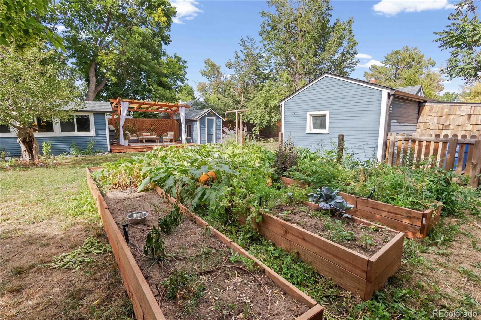 MLS Image #28 for 3875  harlan street,wheat ridge, Colorado