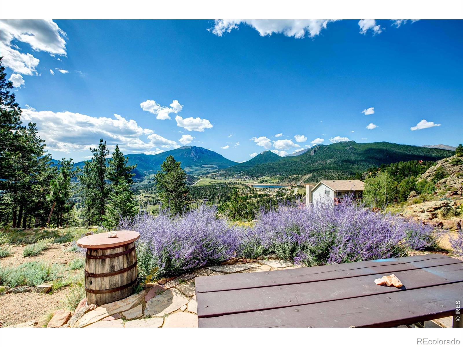 MLS Image #4 for 1460  prospect mountain drive,estes park, Colorado