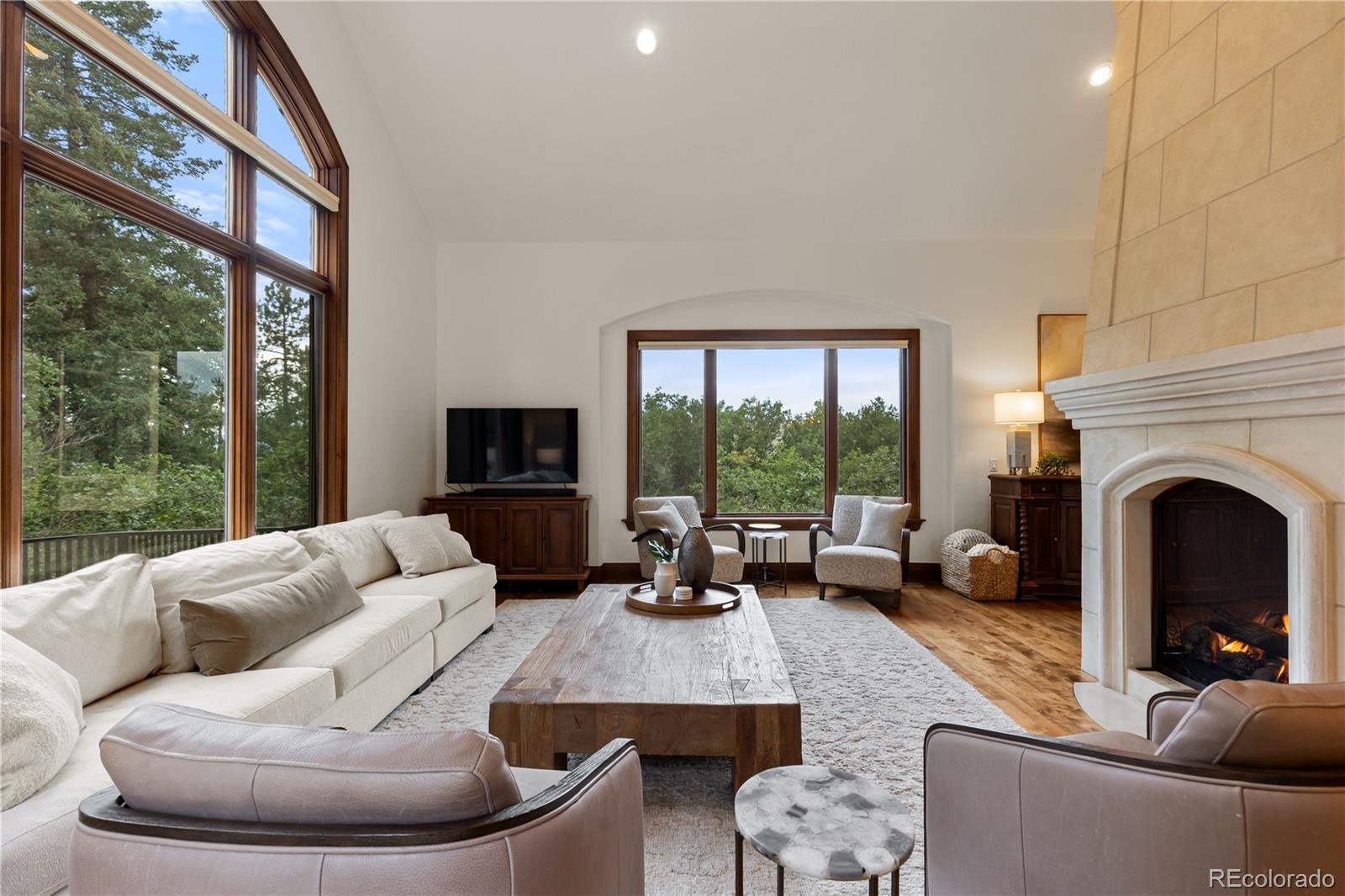 MLS Image #4 for 1043  meteor place,castle rock, Colorado