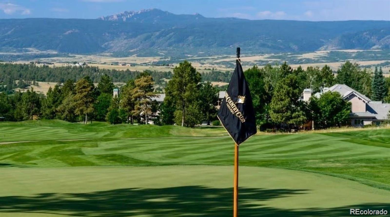 MLS Image #44 for 1043  meteor place,castle rock, Colorado