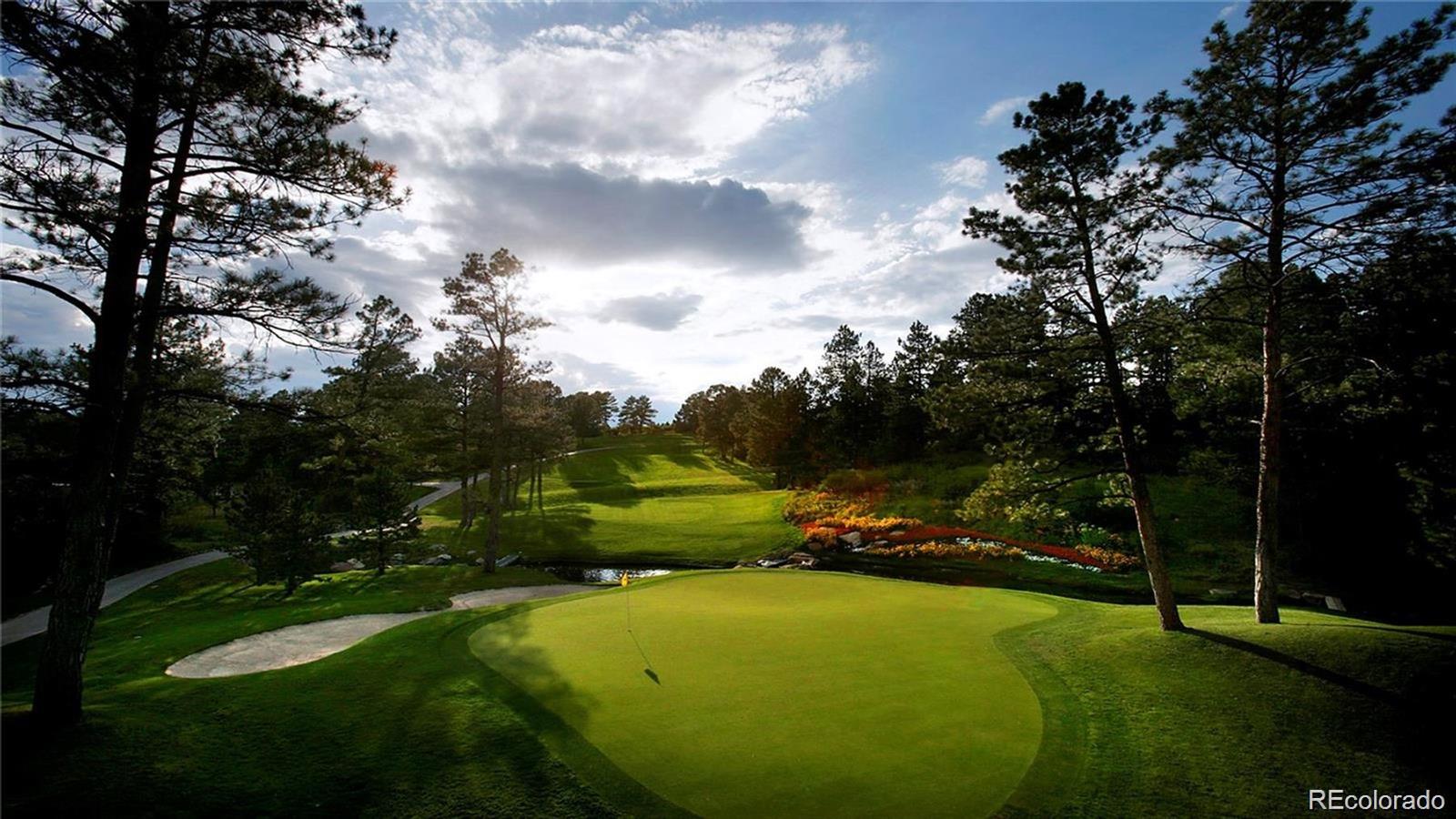 MLS Image #45 for 1043  meteor place,castle rock, Colorado