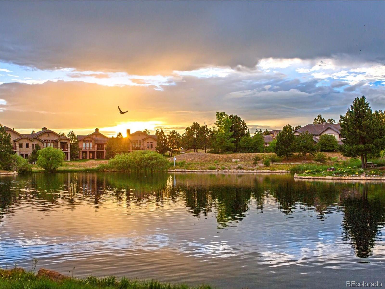MLS Image #46 for 1043  meteor place,castle rock, Colorado