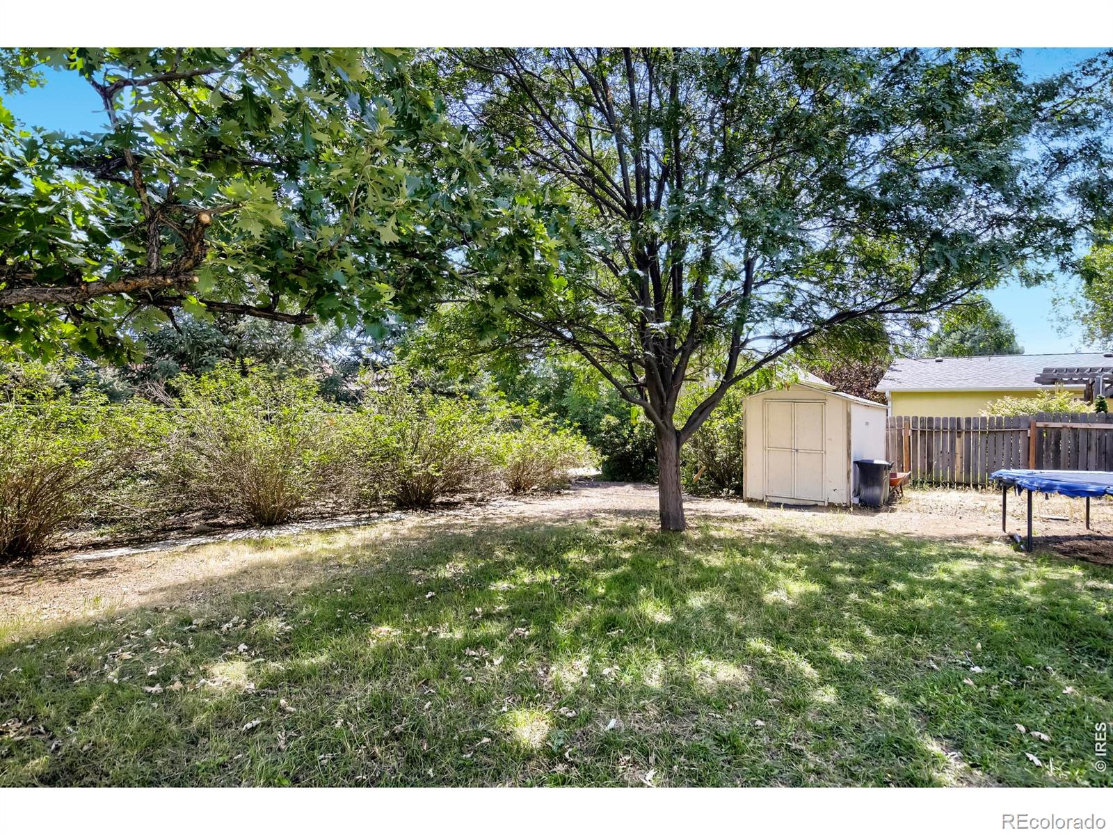MLS Image #20 for 6516  orbit way,fort collins, Colorado
