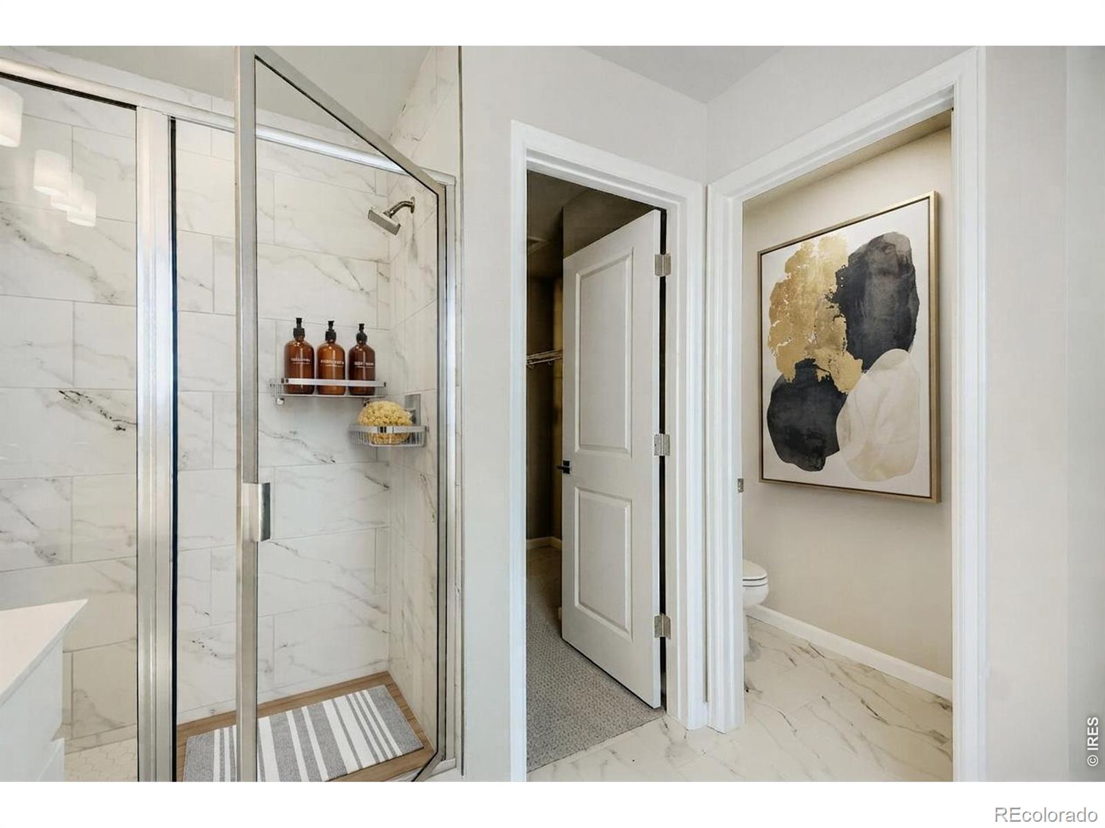 MLS Image #9 for 2575  violet cress lane,fort collins, Colorado