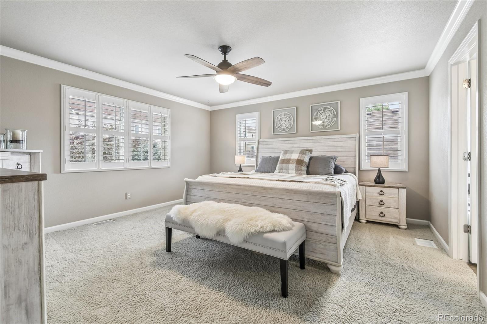 MLS Image #13 for 7642  blue water lane,castle rock, Colorado