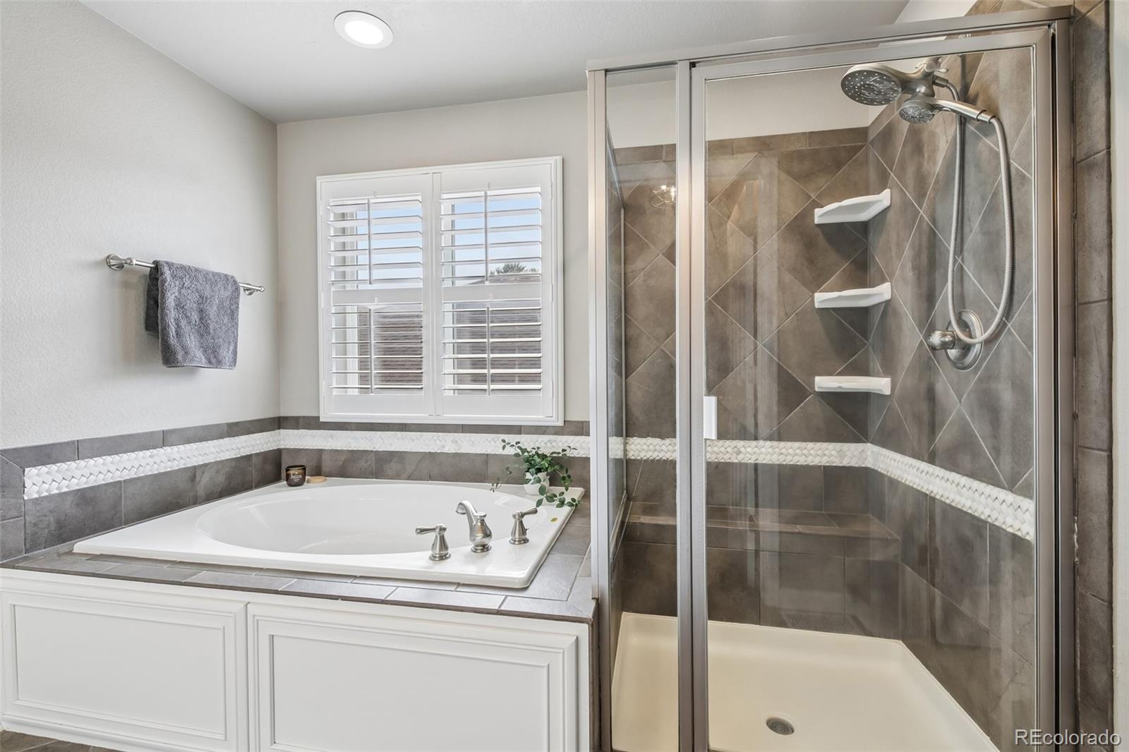MLS Image #16 for 7642  blue water lane,castle rock, Colorado
