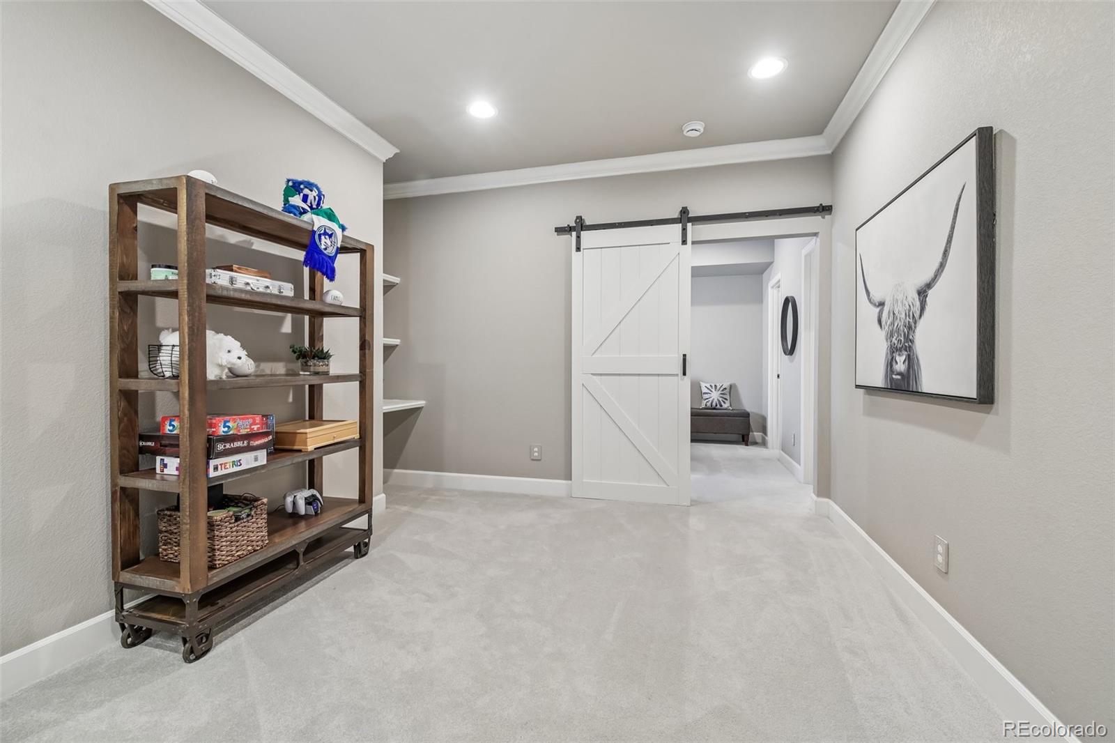 MLS Image #24 for 7642  blue water lane,castle rock, Colorado