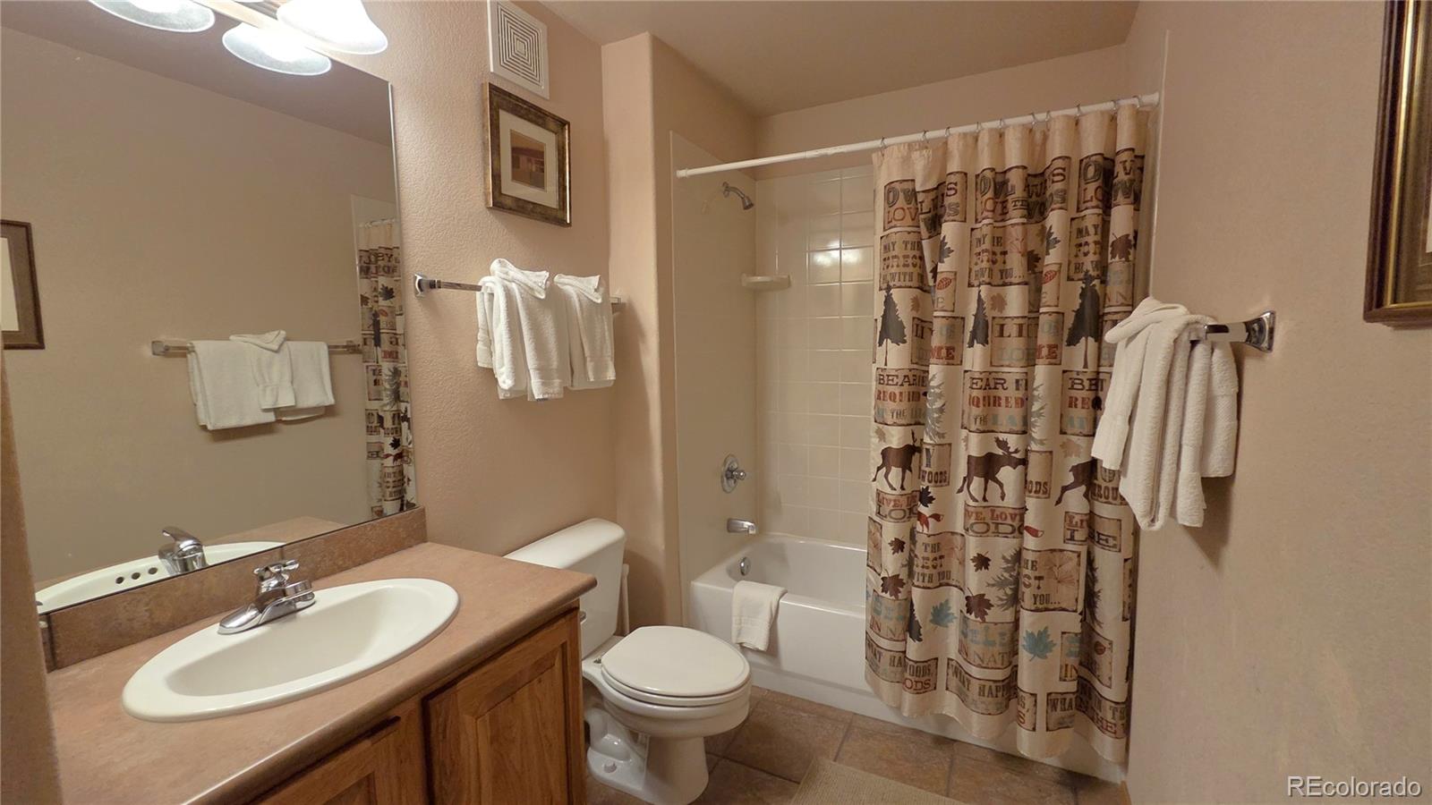 MLS Image #25 for 720  lakepoint drive,frisco, Colorado