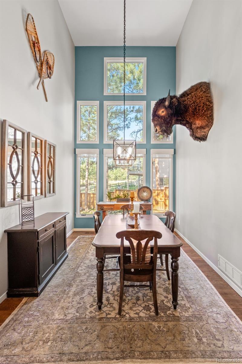 MLS Image #10 for 29972  troutdale ridge road,evergreen, Colorado