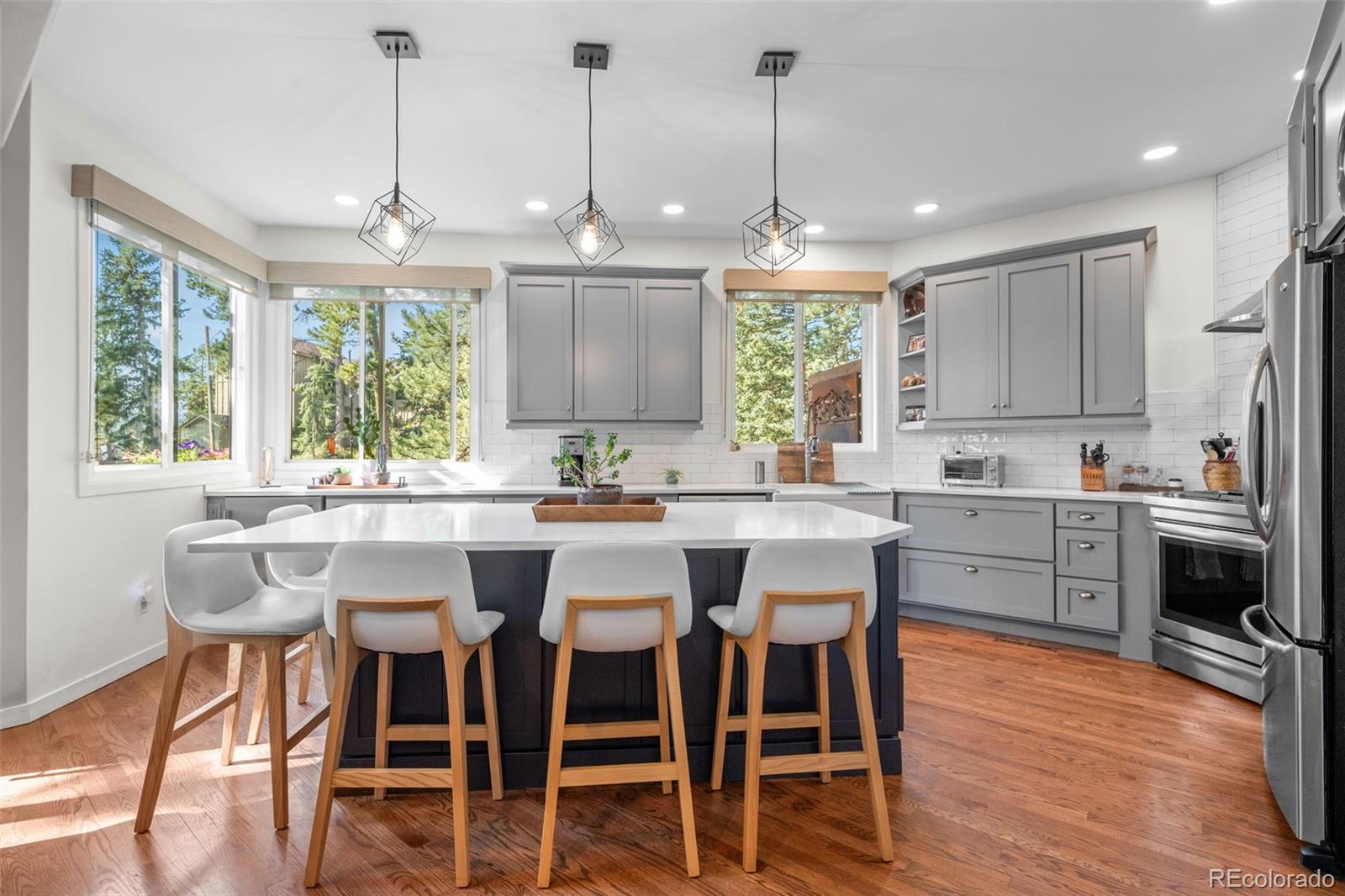 MLS Image #13 for 29972  troutdale ridge road,evergreen, Colorado