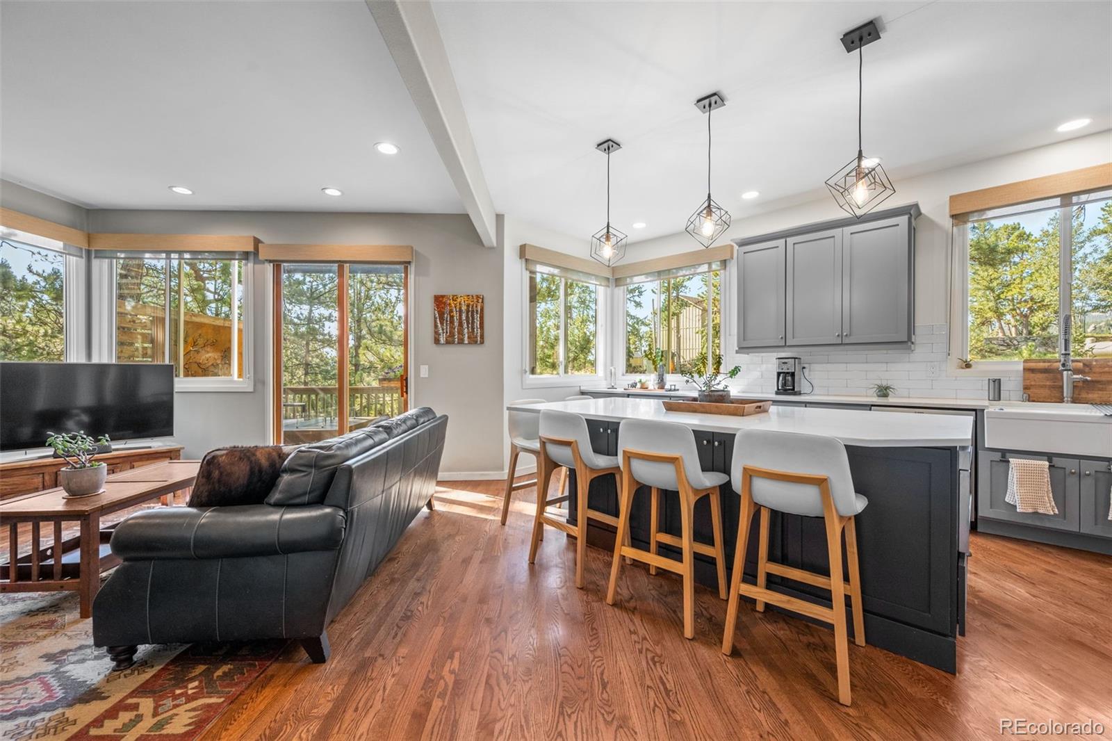 MLS Image #15 for 29972  troutdale ridge road,evergreen, Colorado