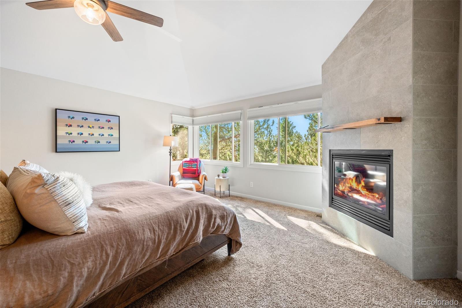 MLS Image #20 for 29972  troutdale ridge road,evergreen, Colorado