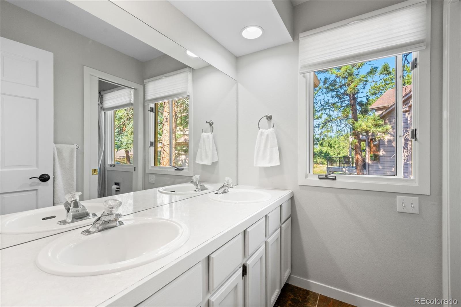MLS Image #25 for 29972  troutdale ridge road,evergreen, Colorado