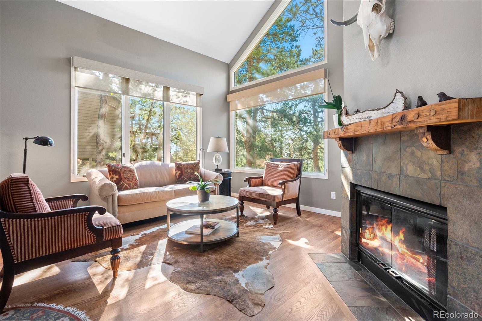 MLS Image #4 for 29972  troutdale ridge road,evergreen, Colorado
