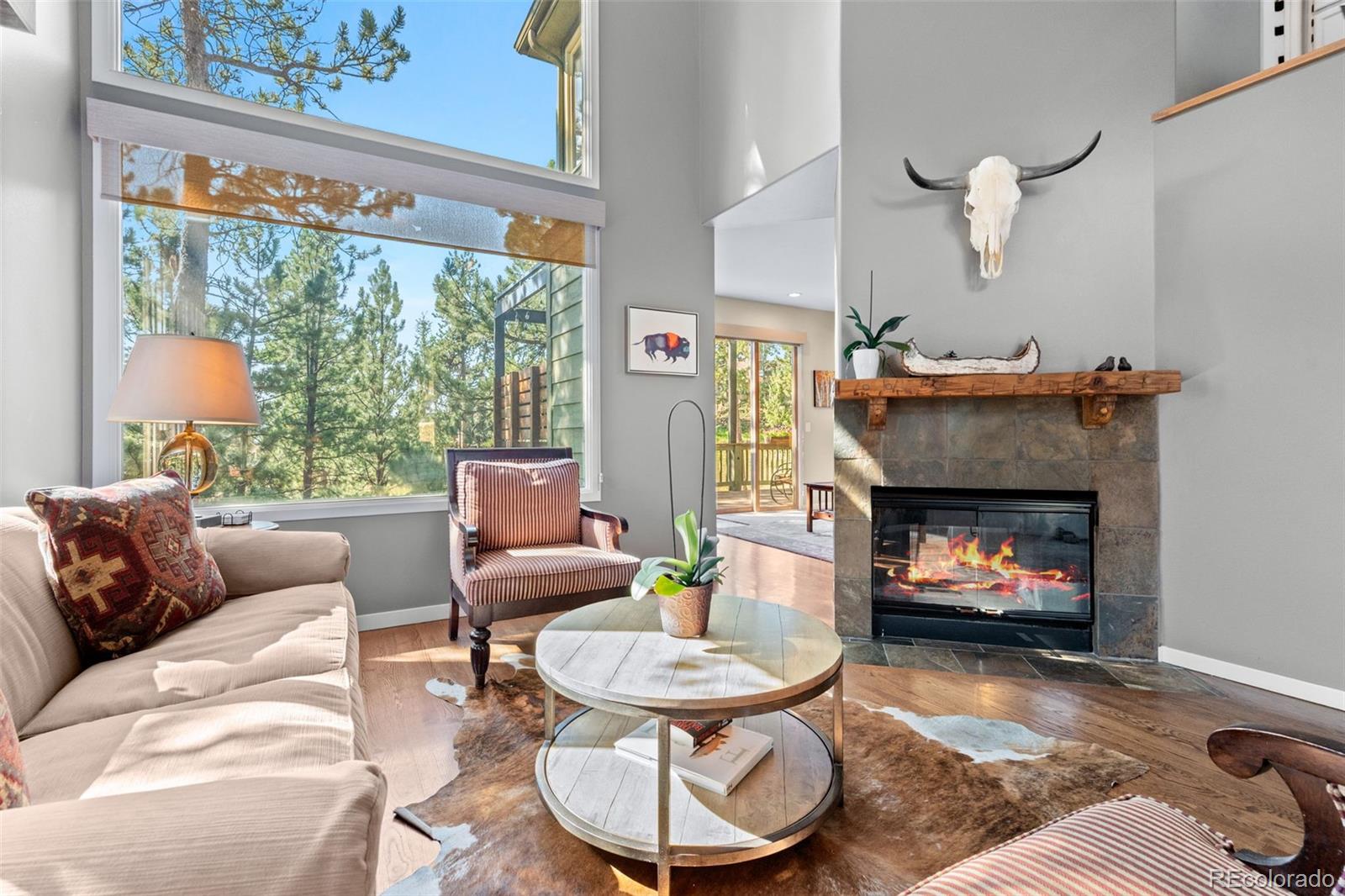 MLS Image #5 for 29972  troutdale ridge road,evergreen, Colorado